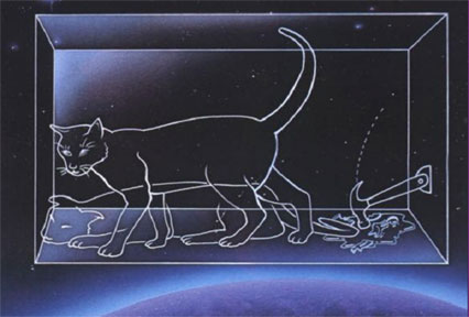 schrödingers cat, diagram quantum physics